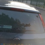 ford fiesta rear screen after replacement