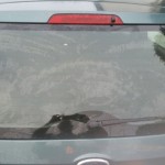 ford fiesta rear screen replacement after